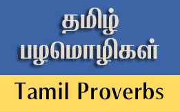 Tamil Proverbs